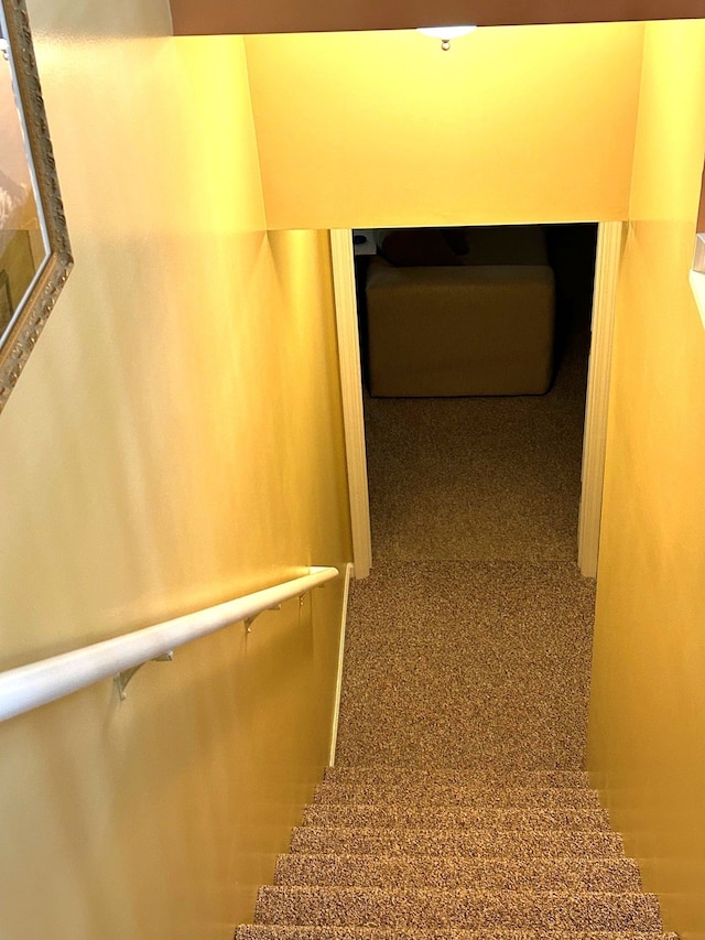 staircase featuring carpet