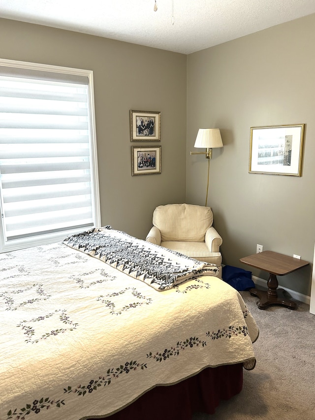 bedroom featuring carpet