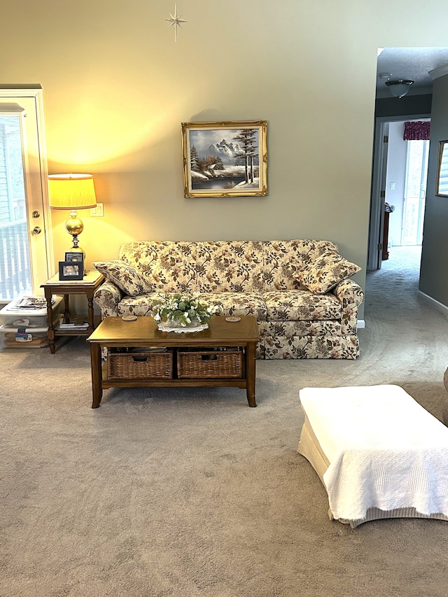 living room featuring carpet