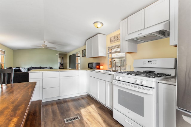 kitchen featuring ceiling fan, a sink, gas range gas stove, under cabinet range hood, and visible vents