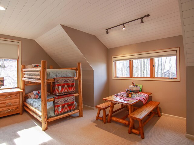 11610 Mountain Woods Dr, Thompsonville, MI 49683 - photo 44