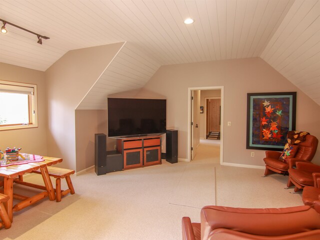 11610 Mountain Woods Dr, Thompsonville, MI 49683 - photo 46