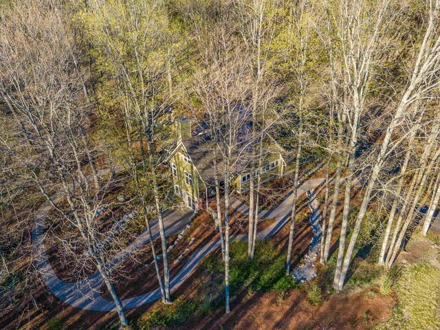 11610 Mountain Woods Dr, Thompsonville, MI 49683 - photo 88