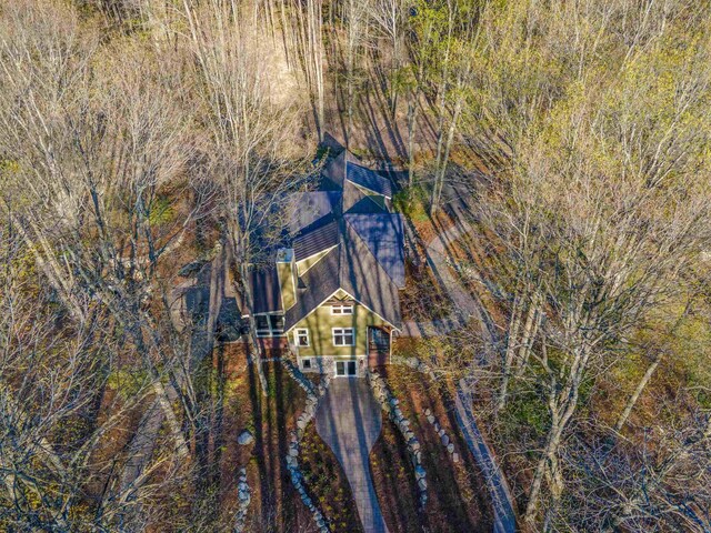11610 Mountain Woods Dr, Thompsonville, MI 49683 - photo 90