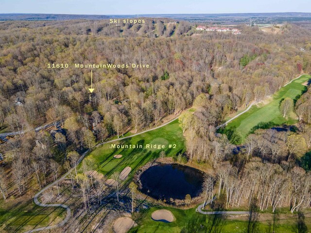 11610 Mountain Woods Dr, Thompsonville, MI 49683 - photo 94