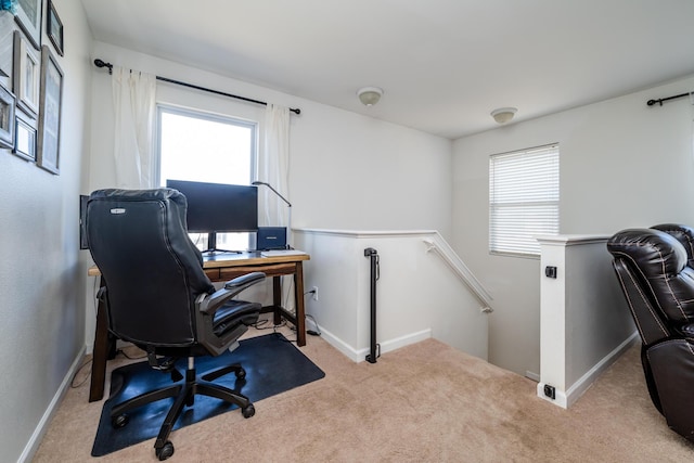 1216 Ellery Grove Ct, Vicksburg, MI 49097 - carpeted home office featuring baseboards