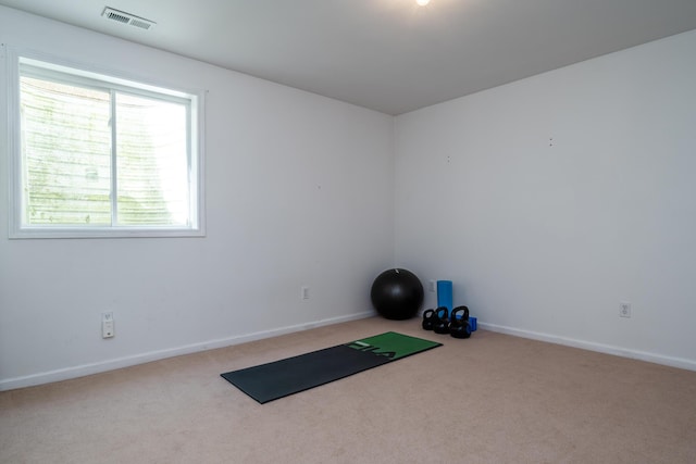 1216 Ellery Grove Ct, Vicksburg, MI 49097 - workout area with visible vents, carpet flooring, and baseboards