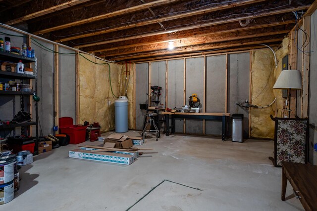 1216 Ellery Grove Ct, Vicksburg, MI 49097 - view of unfinished basement