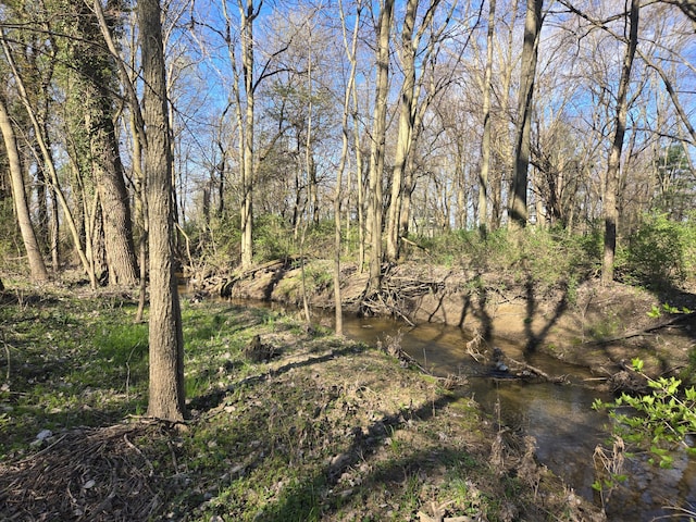2234 Meadowbrook Rd, Benton Harbor, MI 49022 - view of landscape