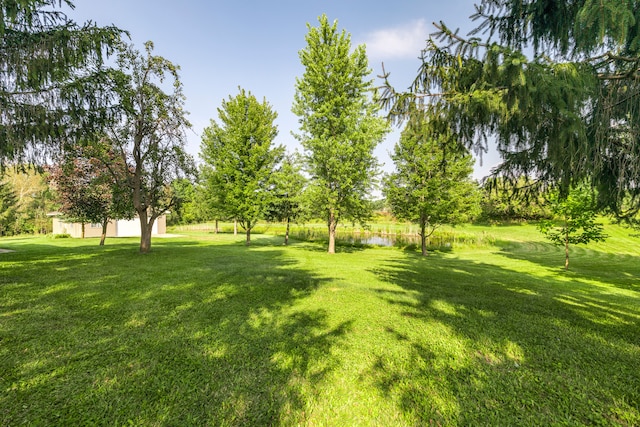 2316 Sugar Riv, Gladwin, MI 48624 - view of yard with a water view