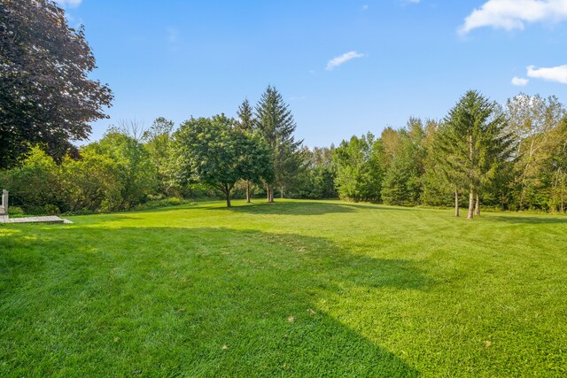 2316 Sugar Riv, Gladwin, MI 48624 - view of yard