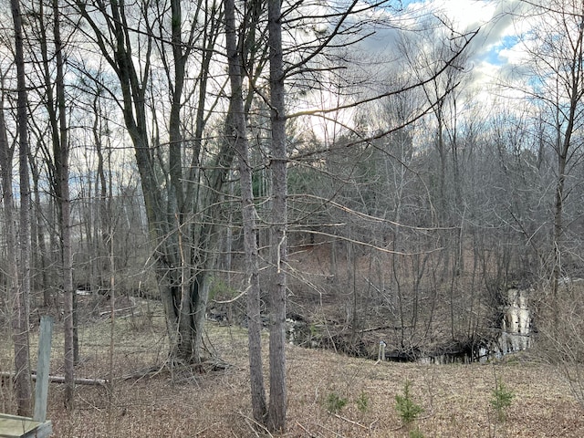 2316 Sugar Riv, Gladwin, MI 48624 - view of local wilderness featuring a view of trees