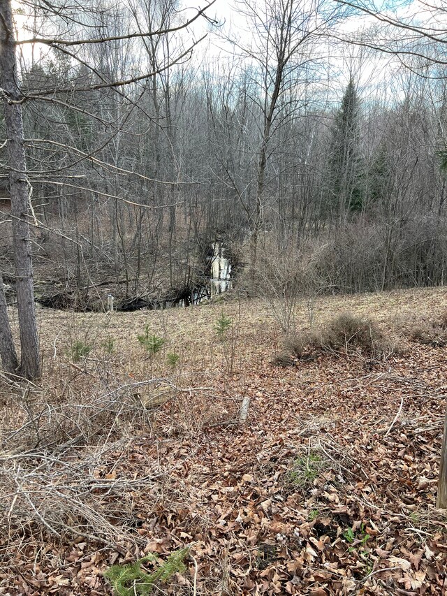 2316 Sugar Riv, Gladwin, MI 48624 - view of landscape featuring a view of trees