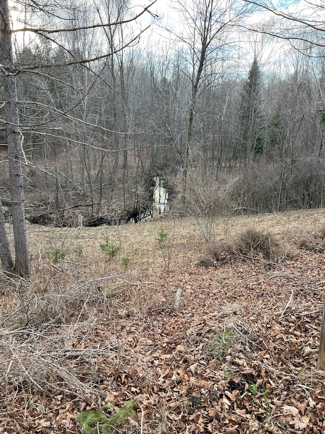 2316 Sugar Riv, Gladwin, MI 48624 - view of landscape featuring a view of trees