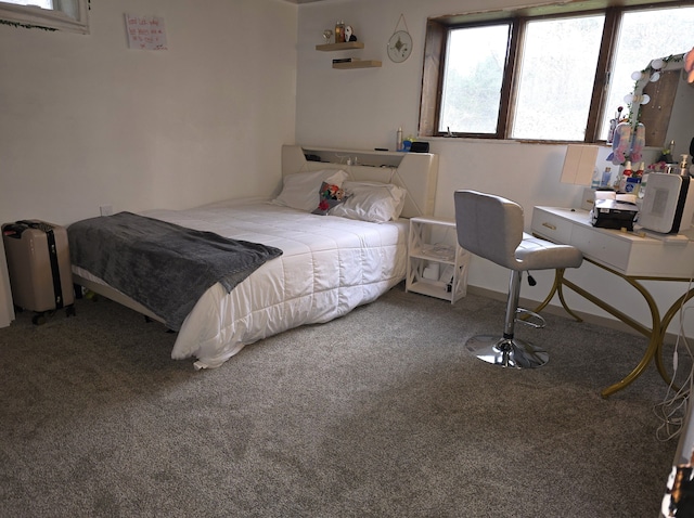 bedroom with carpet floors