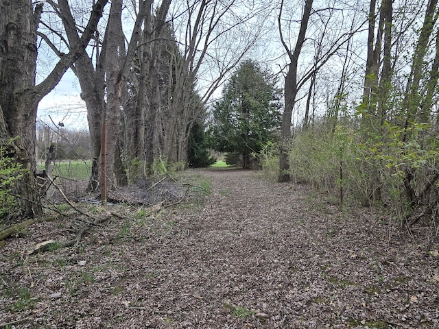 view of nature
