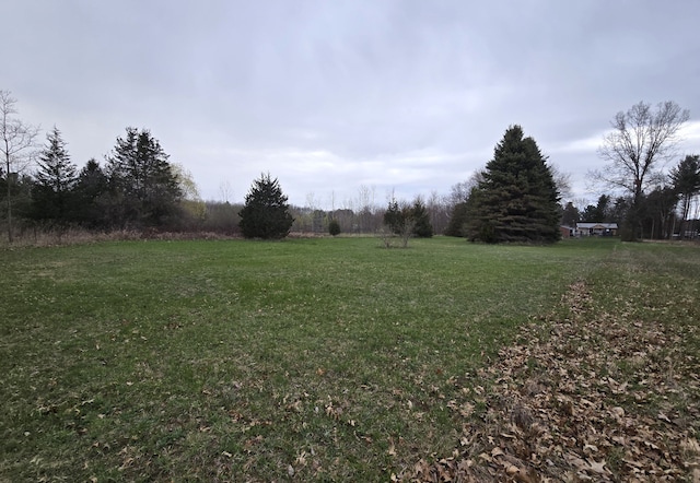 view of grassy yard