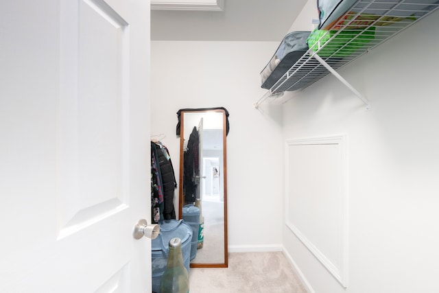 walk in closet featuring carpet floors