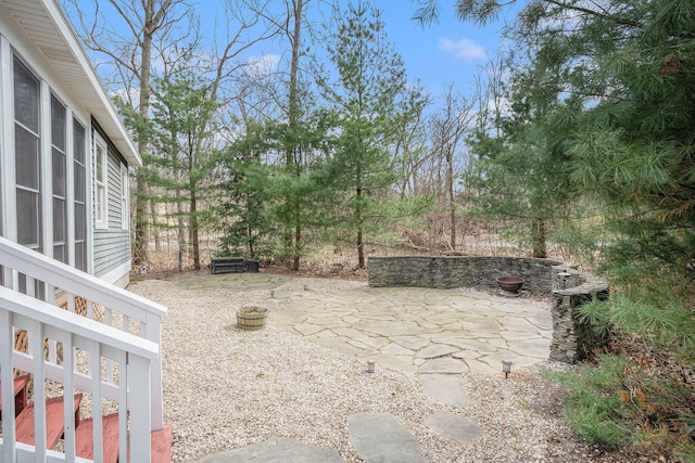 view of yard with a patio area