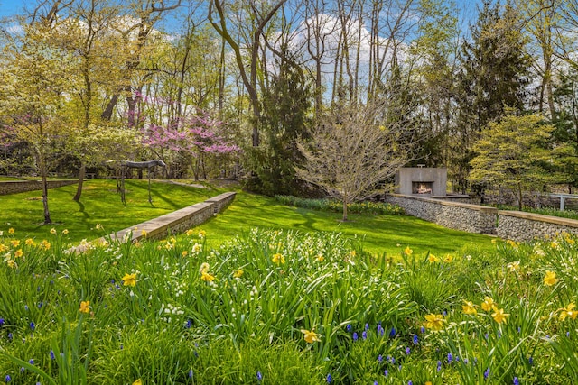 view of yard featuring an outdoor stone fireplace