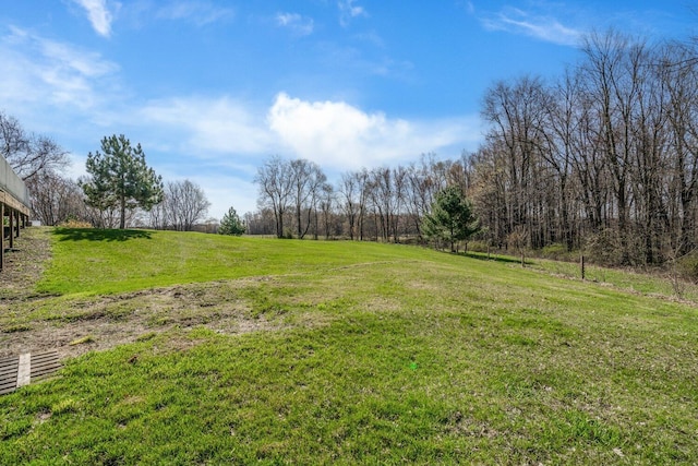 view of yard featuring a rural view