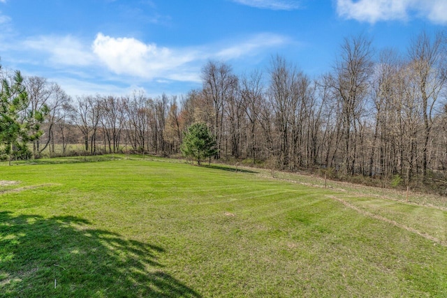 view of yard featuring a wooded view