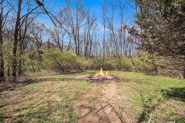 10500 Woodland Dr, Jerome, MI 49249 - view of yard with an outdoor fire pit