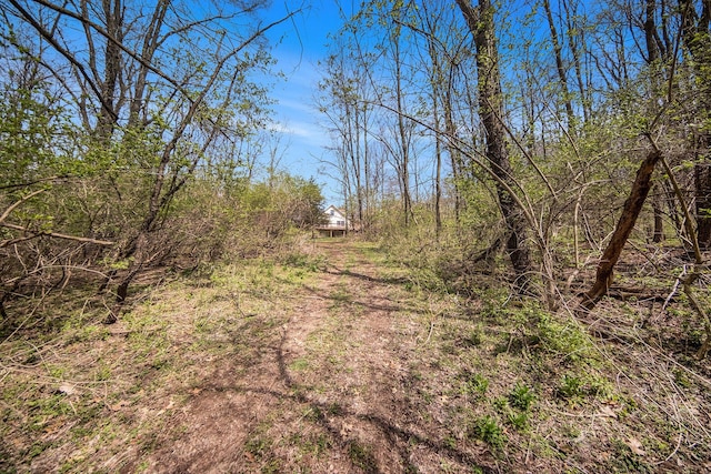 10500 Woodland Dr, Jerome, MI 49249 - view of local wilderness