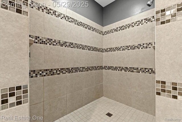 9327 Van Antwerp Rd, Brighton, MI 48116 - bathroom with tiled shower