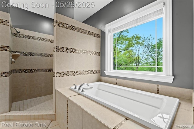 9327 Van Antwerp Rd, Brighton, MI 48116 - bathroom featuring a bath, healthy amount of natural light, and a tile shower