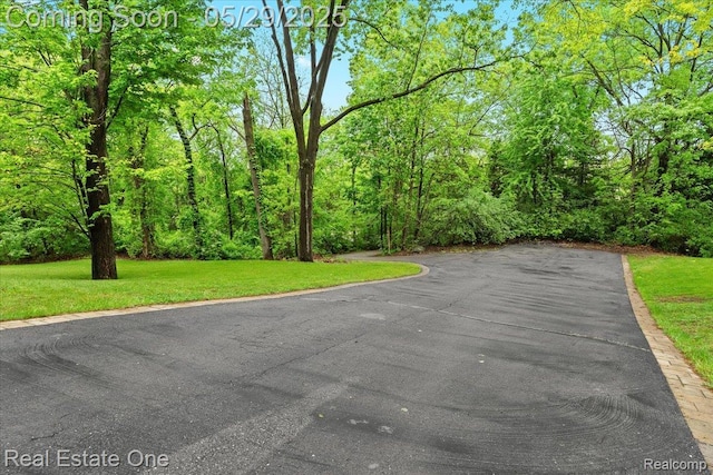 9327 Van Antwerp Rd, Brighton, MI 48116 - view of asphalt street