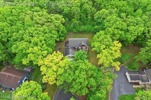 9327 Van Antwerp Rd, Brighton, MI 48116 - drone / aerial view
