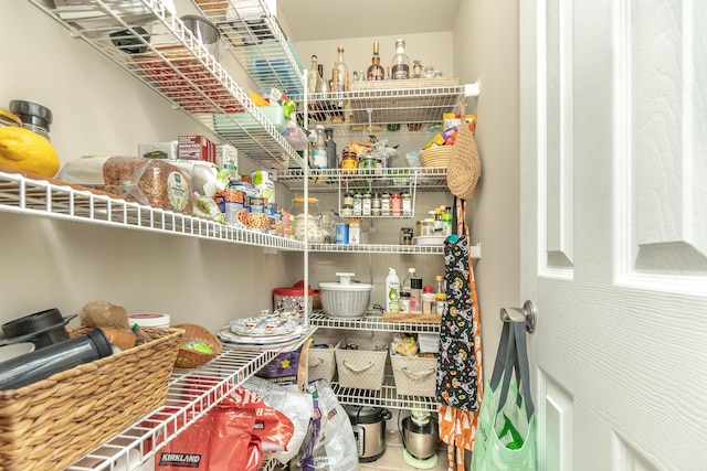 70 Chestnut Ct, Chelsea, MI 48118 - view of pantry