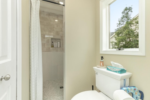 70 Chestnut Ct, Chelsea, MI 48118 - bathroom featuring toilet and a stall shower