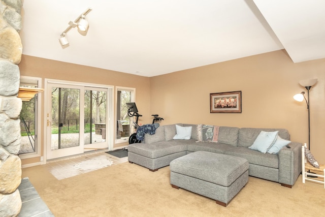70 Chestnut Ct, Chelsea, MI 48118 - living room with carpet flooring