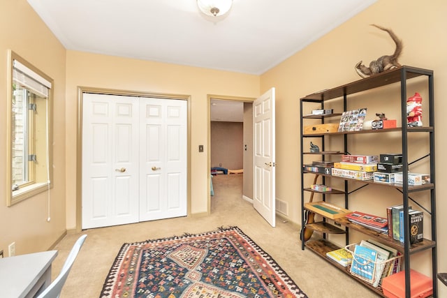 70 Chestnut Ct, Chelsea, MI 48118 - interior space featuring a closet and carpet floors