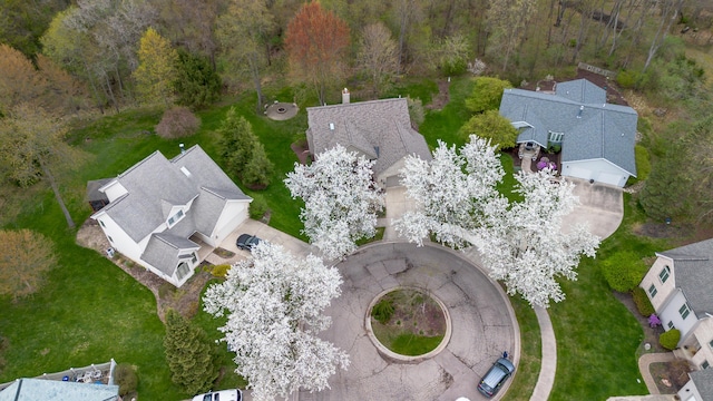 70 Chestnut Ct, Chelsea, MI 48118 - drone / aerial view