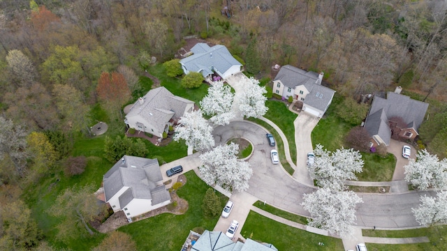 70 Chestnut Ct, Chelsea, MI 48118 - bird's eye view with a view of trees and a residential view