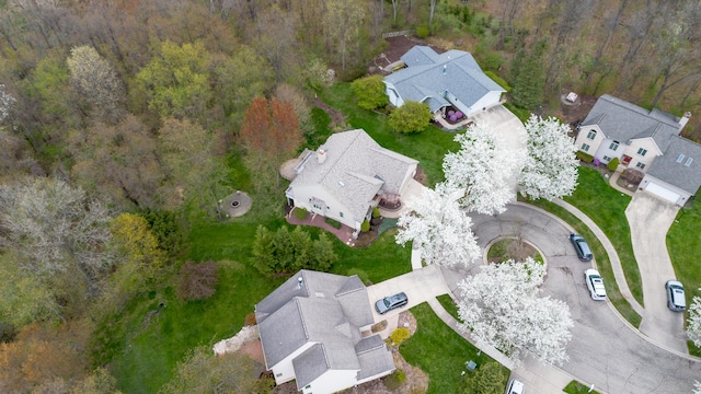 70 Chestnut Ct, Chelsea, MI 48118 - bird's eye view