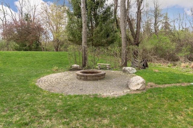 70 Chestnut Ct, Chelsea, MI 48118 - view of yard featuring a patio and an outdoor fire pit