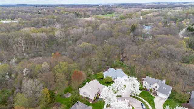 70 Chestnut Ct, Chelsea, MI 48118 - bird's eye view with a wooded view