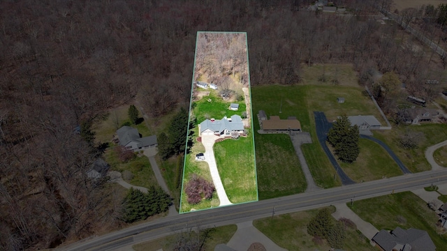 6030 Paw Paw Lake Rd, Coloma, MI 49038 - view of property location with property parcel outlined