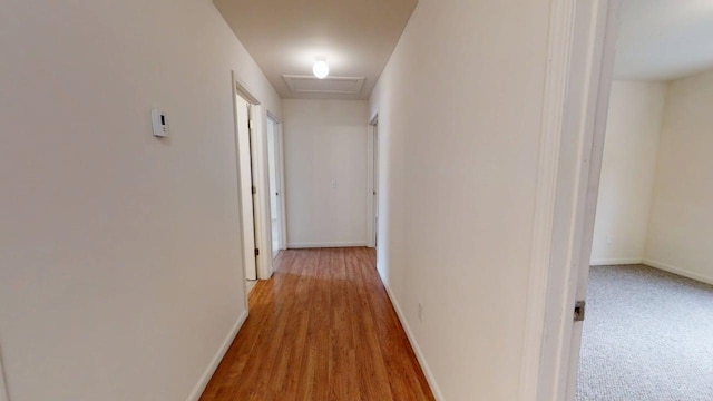 hallway featuring attic access, baseboards, and light wood-style floors