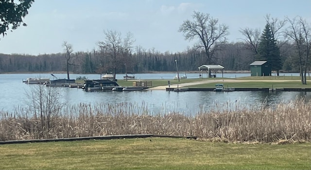 6214 Larch Trl, Lake, MI 48632