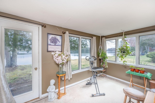 sunroom featuring baseboards and carpet flooring
