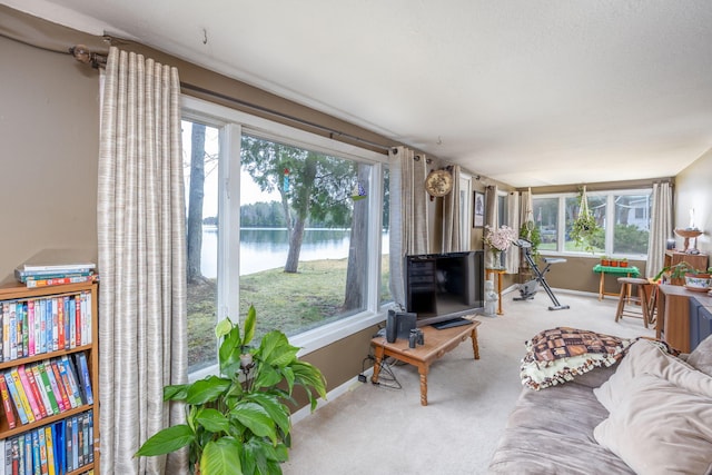 carpeted living area with a wealth of natural light and baseboards