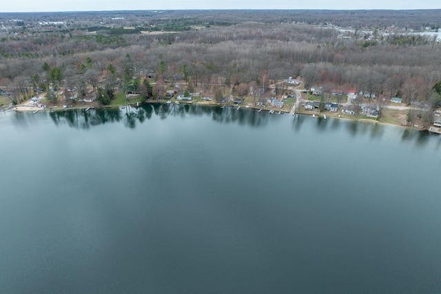 bird's eye view with a water view and a wooded view