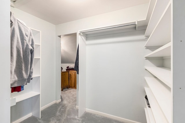 walk in closet with carpet floors