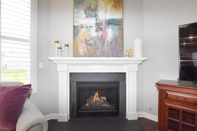 4336 Silica Dr, Lake Orion, MI 48359 - details with a fireplace with flush hearth and baseboards