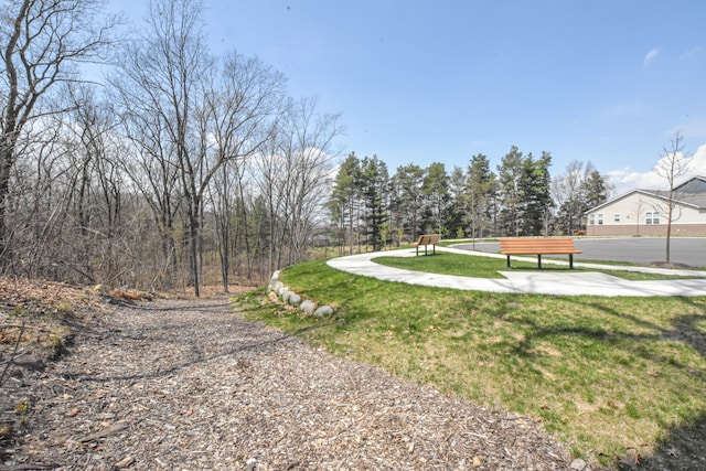 4336 Silica Dr, Lake Orion, MI 48359 - view of community featuring a yard